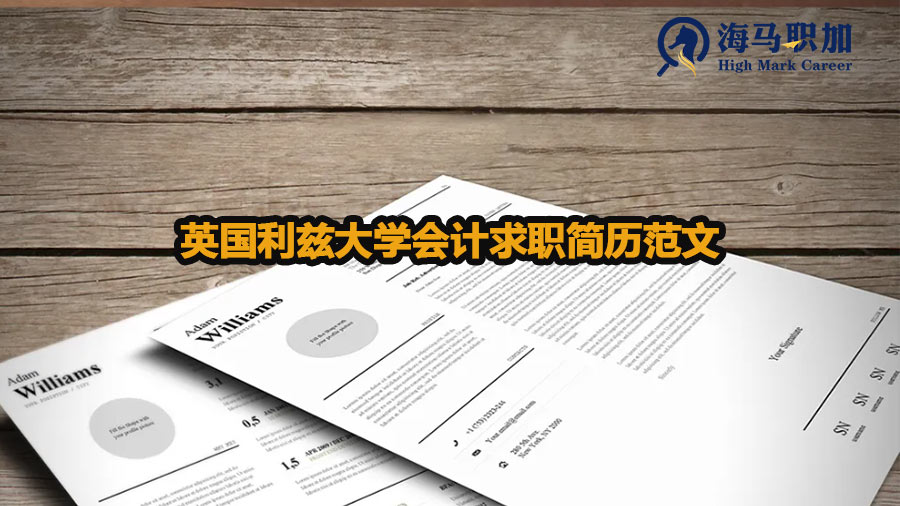 英國利茲大學(xué)留學(xué)生會計求職簡歷范文